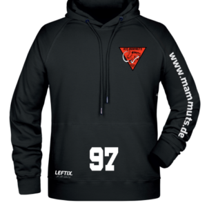 Mammuts Men's Hoody