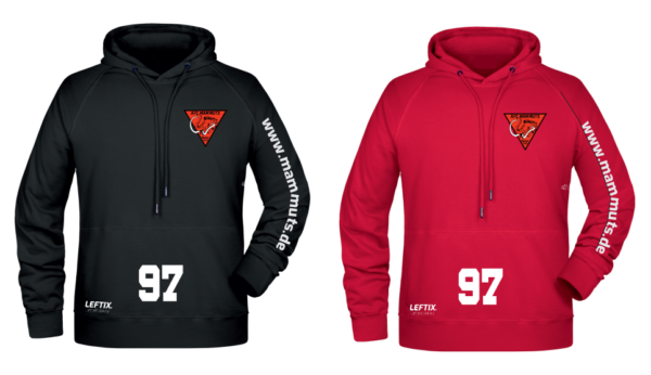 Mammuts Men's Hoody – Bild 3
